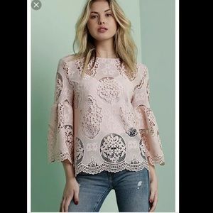 Dolce Cabo Blush Pink Lace Bell Sleeve Blouse NWT Size M